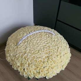 Корзина WOW 201 роза