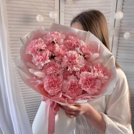 Розовые диантусы 15шт