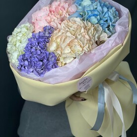 Воздушное облако гортензий