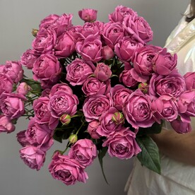 Букет кустовых роз Мисти Баблс