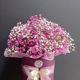 Бокс с гипсофилой