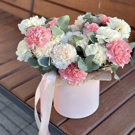 Бокс стойких диантусов