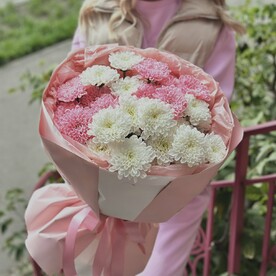 Хризантема кустовая, Авторская упаковка