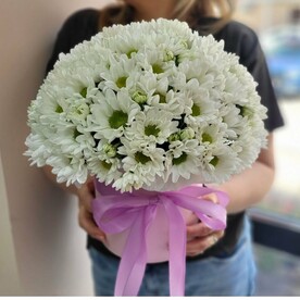 "Ромашки" в шляпной коробке