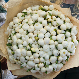 Букет пионов "Дюшес"