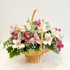 Корзина из орхидей "Неотразимая орхидея"