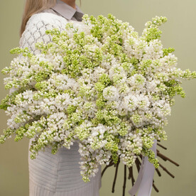 Букет Белая сирень