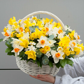 Цветочная композиция "Корзинка с нарциссами"