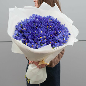 Букет цветов "Пленительные ирисы"