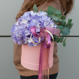 Гортензия в шляпной коробке "Лавандер"