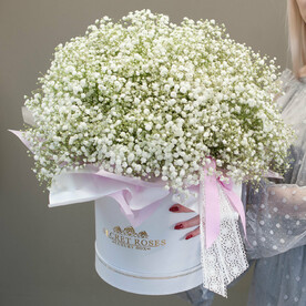 Коробка из белой гипсофилы "Воздушная"
