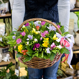 Корзина из разноцветных фрезий (25 фрезий)