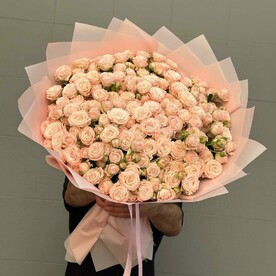 Кустовая пионовидная роза Бомбастик