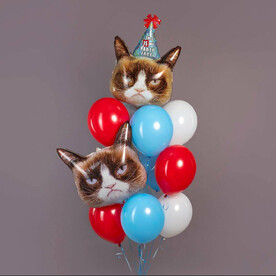 Коты сердитые