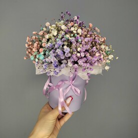 Радужная гипсофила 🦄