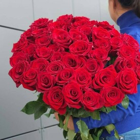 101 алая роза