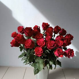 25 красных роз премиум
