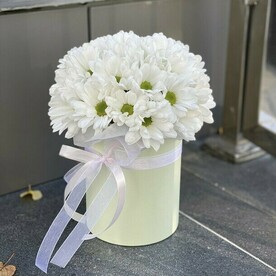 Хризантема в шляпной коробкке