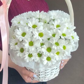 Ромашки в корзине