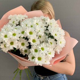 7 хризантем "Ромашки" OS02223