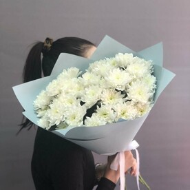 5 Кустовых Хризантем DR0150346