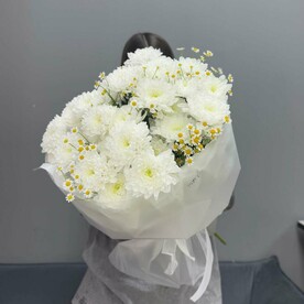 «Sunny» полевые ромашки х хризантема алтай