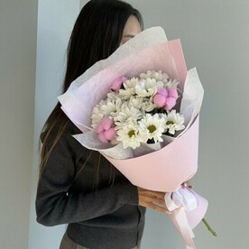 Хризантемы ромашки