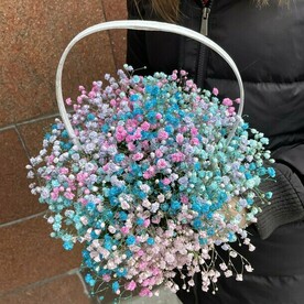 Корзинка с радужной гипсофилой