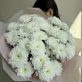 Белая кустовая хризантема