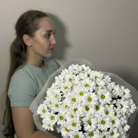 Хризантема кустовая