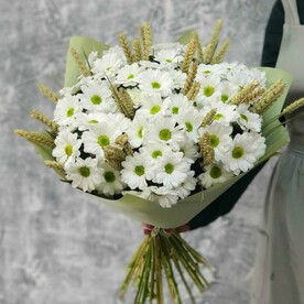 Ромашки на поле, 1240