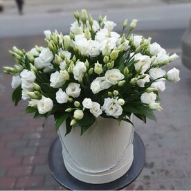 Коробка с лизиантусом, 1270