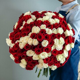 151 красная и белая роза Эквадор под ленту, 1132