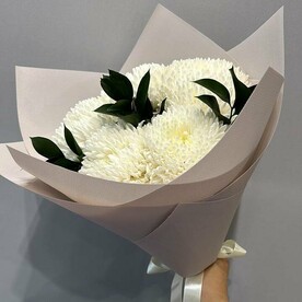 Одноголовая хризантема с рускусом