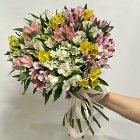 Микс разноцветных альстромерий