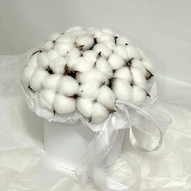 Белый хлопушек