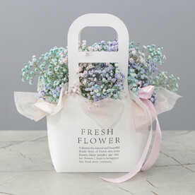 Гипсофила в сумочке