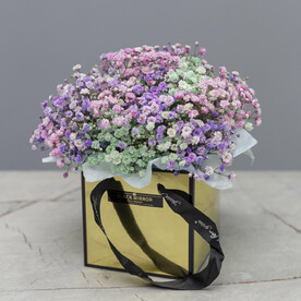 Гипсофила радужная в золотой сумочке