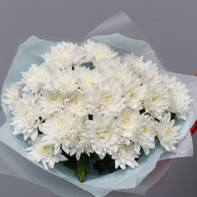 Монобукет из белой кустовой хризантемы