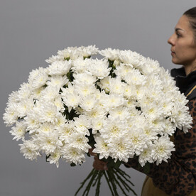 Большой букет из 19 кустовых белых хризантем