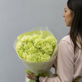 Зеленые гвоздики в монобукете