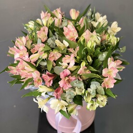 Шикарный букет в коробке  из супер стойких разноцветных альстромерий