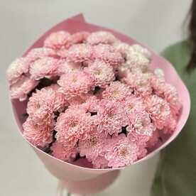 🤩Акция 🤩Букет моно/Хризантема кустовая розовая/Цветы Уфы/Доставка Уфа