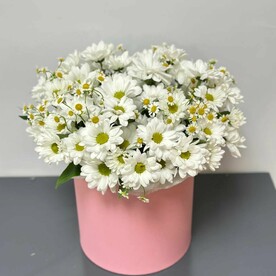 Композиция лето/матрикария/кустовая хризантема ромашка/цветы Уфы/доставка Уфа