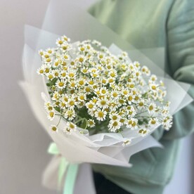 Букет ромашковое поле/матрикария/ромашка/цветы Уфы/доставка Уфа