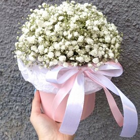 Композиция из гипсофилы