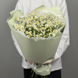 Монобукет из 13 ромашек
