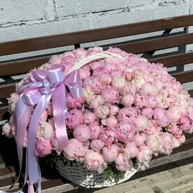 Шикарная корзина 201 пион (А014)