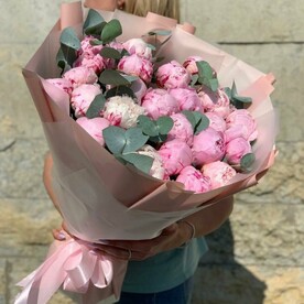 Монобукет из 25 пиона Сара Бернар с эвкалиптом (А044)