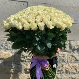 101 эффектная белая роза Эквадор (E155)